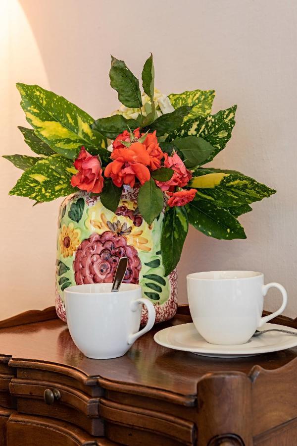 B&B Villa Rosalinda ドンゴ エクステリア 写真