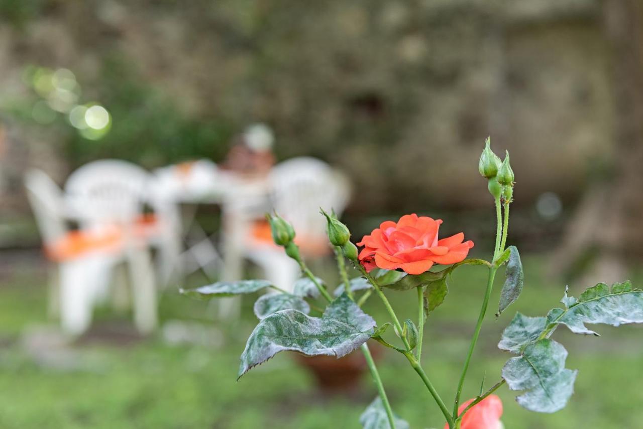 B&B Villa Rosalinda ドンゴ エクステリア 写真